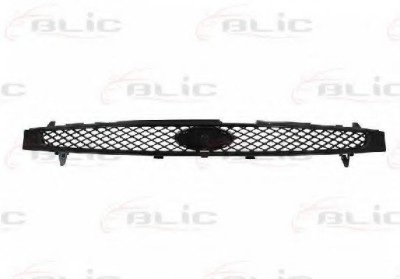 Grila radiator FORD FIESTA V (JH, JD) (2001 - 2010) BLIC 6502-07-2564990P foto