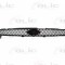 Grila radiator FORD FIESTA V (JH, JD) (2001 - 2010) BLIC 6502-07-2564990P