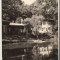 CPIB 22168 - CARTE POSTALA - SOVATA, LACUL NEGRU, BAILE CALDE, RPR