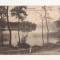 FV1 - Carte Postala -FRANTA- Laffrey, Au bord du grand Lac, circulata 1923