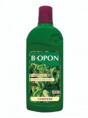 Ingrasamant Biopon pentru conifere 0.5 l foto