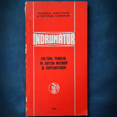 CULTURA POMILOR IN SISTEM INTENSIV SI SUPERINTENSIV - INDRUMATOR