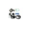 Set pompa apa + curea dintata FORD ESCORT VII limuzina GAL AFL DAYCO KTBWP2500