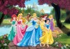 Fototapet Printese Disney, Alba-ca-Zapada, Rapunzel, Ariel, Belle, Cenusareasa, Aurora, Tiana, 165x118cm, Vinil, Adeziv Inclus