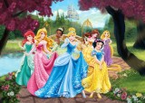 Fototapet Printese Disney