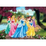 Fototapet Printese Disney