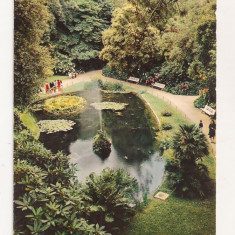 FA21-Carte Postala- FRANTA - Cherbourg ( Manche ) le Jardin public, necirculata