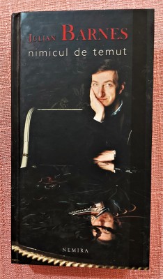 Nimicul de temut. Editura Nemira, 2009 - Julian Barnes foto