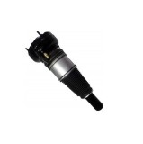 MTR 12127069 Brat arc pneumatic