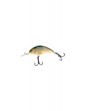 Vobler Salmo Hornet H9F RR, 9cm, 12g