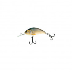 Vobler Salmo Hornet H9F RR, 9cm, 12g