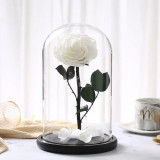 Cumpara ieftin Trandafir Criogenat bonita alb &Oslash;6,5cm in cupola sticla 12x25cm