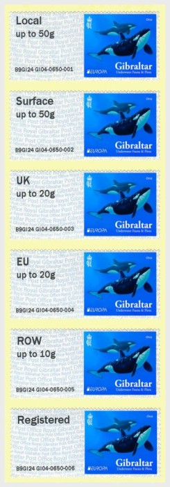 Gibraltar, fauna, orci, timbre adezive, 2024, sub nominal