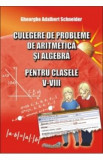 Algebra cls V-VIII. Culegere de matematica