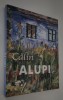 Album de arta Calin Alupi Pictura, Cartonata