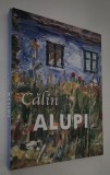 Album de arta Calin Alupi Pictura