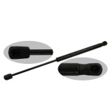 Febi Bilstein Amortizor capota