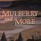 Mulberry and More
