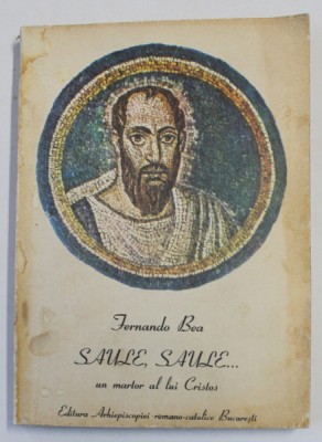 SAULE , SAULE ...UN MARTOR AL LUI CRISTOS de FERNANDO BEA , 1994 foto