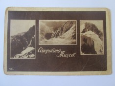 Carte poștala colaj C&acirc;mpulung Mușcel necirculată 1945