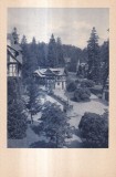 Castel Peles Depedentele (necirculata)