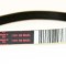 Curea masina de spalat Hutchinson Poly V 1181H8 MAEL