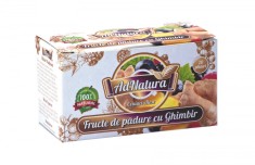 FRUCTE DE PADURE CU GHIMBIR 20DZ foto