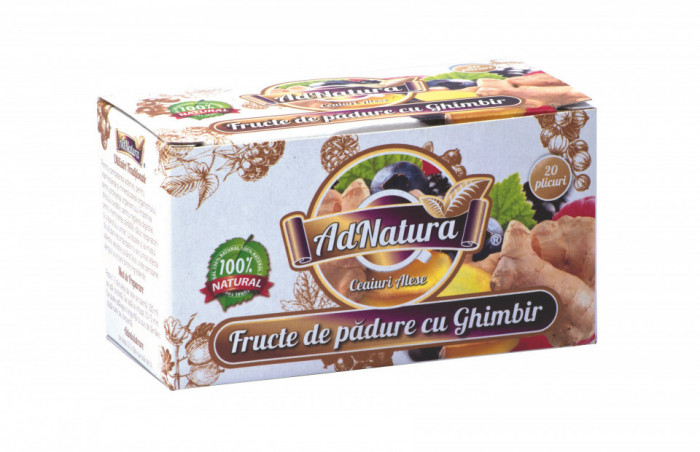 FRUCTE DE PADURE CU GHIMBIR 20DZ