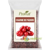 Coarne de Padure 100g