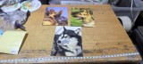 Carti Postale #A7961han