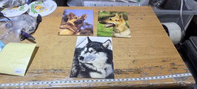 Carti Postale #A7961han foto