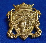 Insigna fotbal - POLITEHNICA TIMISOARA