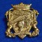 Insigna fotbal - POLITEHNICA TIMISOARA