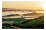 Tablou Canvas, "Dimineață de ceață peste dealuri verzi", Aurora, C&acirc;mpuri, Ceață, Dealuri, Lumină, Verdeață, Răsărit, Peisaj, Serenitate, Natură, 39 x