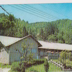 C POSTALA BICAZ MOLDOVA /RESTAURANT