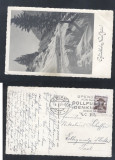 Austria 1933 Old postcard Postal stationery Vienna to Tirol DB.032