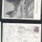 Austria 1933 Old postcard Postal stationery Vienna to Tirol DB.032