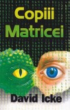 Copiii matricei - Paperback brosat - Daksha