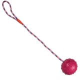 Jucarie pentru caine, minge cu sfoara si maner, 6 x 40cm, Roz, Ropet