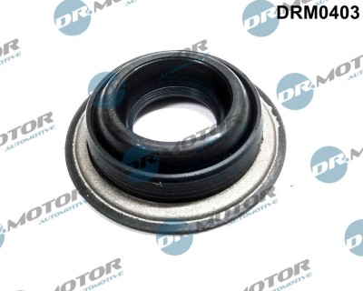 Garnitura, Capac Supape 265488 DRM0403 foto