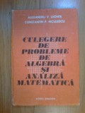 E4 Culegere de probleme de algebra si analiza matematica - Alexandru V. Leonte