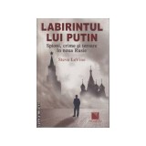 Steve LeVine - Labirintul lui Putin