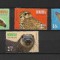 ROMANIA 2017 - EMISIUNE COMUNA ROMANIA - ONU - SPECII PERICLITATE, MNH - LP 2145