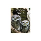Wisdom of Owls
