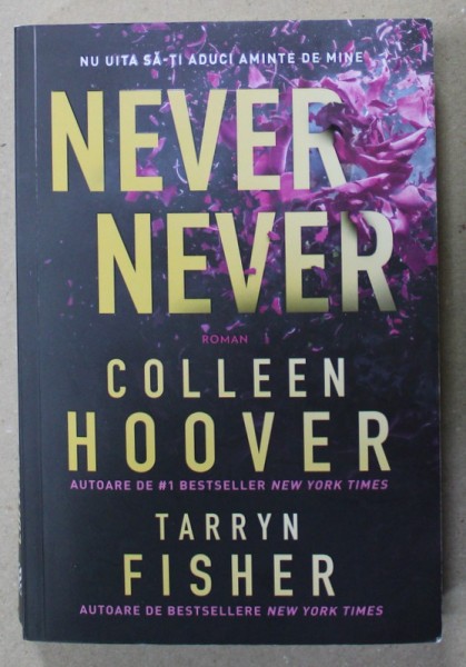NEVER, NEVER de COLLEEN HOOVER si TARRYN FISHER , 2023