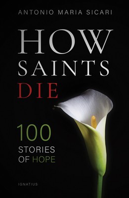 How Saints Die: 100 Stories of Hope foto