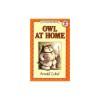Owl at Home