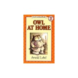 Owl at Home