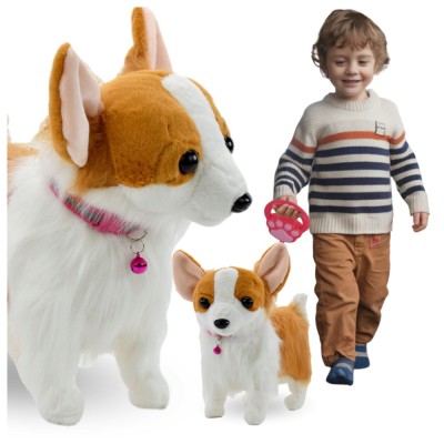 C&amp;Acirc;INE INTERACTIV PE LESĂ MERGĂND ȘI LĂTR&amp;Acirc;ND CORGI foto