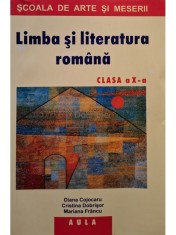 Diana Cojocaru - Limba si literatura romana clasa a X-a (Editia: 2005) foto